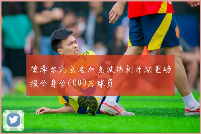 德泽尔比点名加克波热刺计划重磅报价身价6000万球员